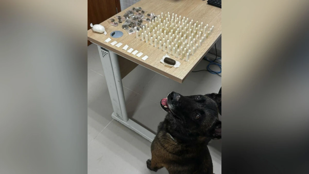 Material apreendido durante operação em Itararé, Vitória