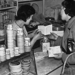 Manter uma alimentação saudável é importante em qualquer idade, mas as necessidades de nutrientes variam ao longo da vida. Por isso, é preciso adaptar os nossos pratos à medida que envelhecemos.