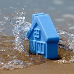 Especialista compartilha medidas preventivas e esclarece práticas que não resolvem o problema
