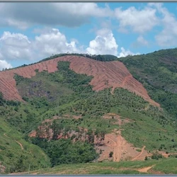 A área foi desmatada para implantação de pastagem sem autorização; o local foi embargado e os responsáveis devem responder por crimes ambientais