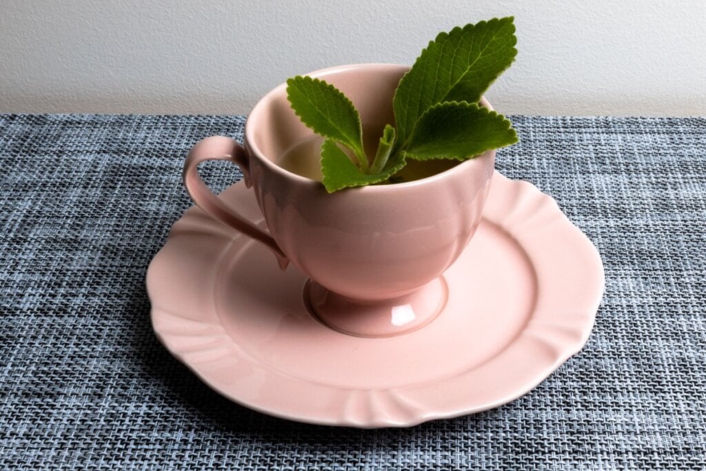 Chá de boldo com hortelã e mel (Imagem: Studio Neeby | Shutterstock)