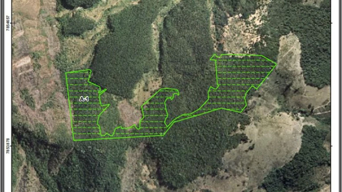 Área da Mata Atlântica, incluindo Reserva Legal, foi desmatada para implantação de pastagem sem autorização; a área foi embargada e os responsáveis devem responder por crimes ambientais