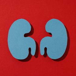 Algumas medidas de prevenção ajudam a reduzir o risco de desenvolver a doença e contribuem para a saúde geral dos rins
