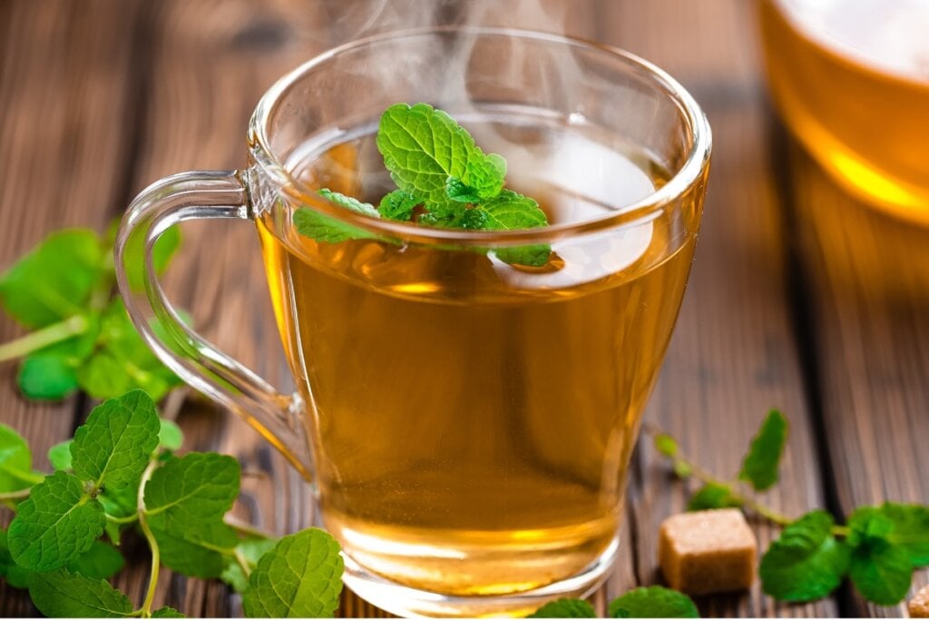 Chá de hortelã com limão (Imagem: Sea Wave | Shutterstock)