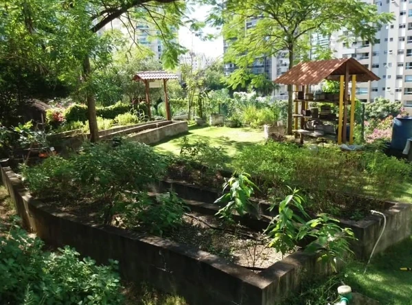 Em Vitória, o Parque Manolo Cabral abriga hortas urbanas interativas