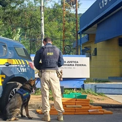 Segundo a Polícia Rodoviária Federal, dois ocupantes do veículo transportavam a droga, que vinha do interior de São Paulo e tinha como destino a Grande Vitória
