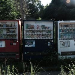 Repórter da BBC relata visita à região com 'paisagem perturbadora': 'O desastre não destruiu a cidade. Ele simplesmente expulsou as pessoas'.