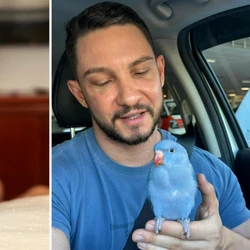 O pássaro, um perequito ring neck que atende por Sky e tem apenas três meses de vida, desapareceu no bairro Paraíso, na tarde dessa segunda-feira (9)