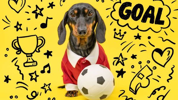 Sugestões criativas que unem a paixão pelo esporte mais popular do mundo e características do companheiro de quatro patas