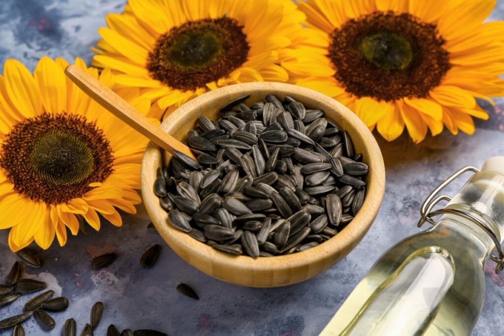 As sementes de girassol são fonte de gorduras boas e minerais que regulam a resposta imunológica (Imagem: Pixel-Shot | Shutterstock)