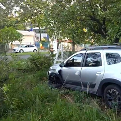 Com o impacto, a cerca do local e uma árvore foram completamente arrancadas. O carro também ficou bastante danificado