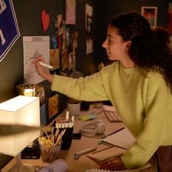 Professores compartilham estratégias para tornar melhor a preparação e melhorar o desempenho nos vestibulares