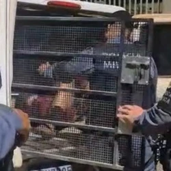 Após mais de três horas de negociação, a Polícia Militar conseguiu libertar as vítimas e prender o suspeito, que estava armado com uma faca