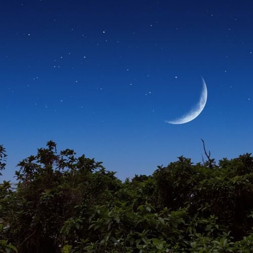 Imagem - Lua hoje: veja qual é a fase lunar desta segunda-feira, 16 de março de 2026