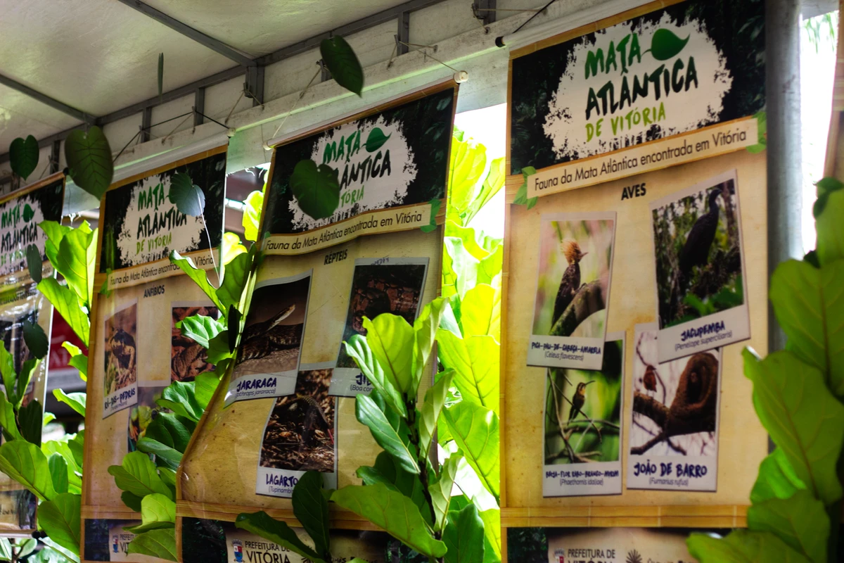 Ação Social Igreja Maranata, Maanaim de Vitória por Julia Felberg