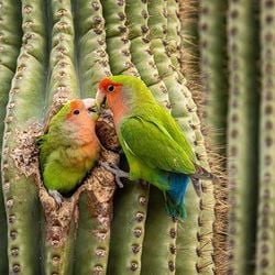 Em tempos de guerra, mudanças climáticas e instabilidades se somando às dificuldades normais do nosso dia a dia, a BBC reuniu nove sugestões para ajudar as pessoas a manter em dia sua saúde mental.