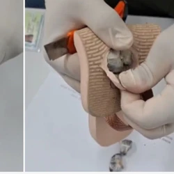 As drogas estavam dentro do par de calçado de uma visitante, identificada apenas pelas siglas M.A.C, que foi encaminhada à Delegacia Regional de Vila Velha