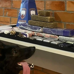 Ação da PM terminou com quatro suspeitos detidos; adolescente foi apreendido e grande quantidade de drogas e materiais do tráfico foi recolhida