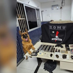 Suspeito, que não teve a identidade revelada, tentou fugir pulando por telhados, mas, ao ser alcançado, confessou que os materiais ilícitos pertenciam a ele