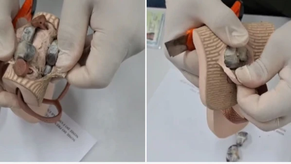 As drogas estavam dentro do par de calçado de uma visitante, identificada apenas pelas siglas M.A.C, que foi encaminhada à Delegacia Regional de Vila Velha