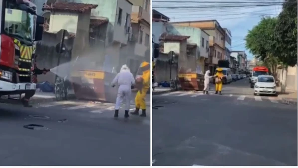 Um enxame atacou seis pessoas em uma rua em Soteco, em Vila Velha; Corpo de Bombeiros atendeu o caso para controle dos insetos