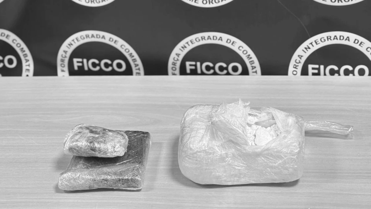 Material apreendido durante a segunda fase da Operação Turquia