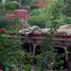 O furto aconteceu em outubro do ano passado em uma fazenda; a polícia conseguiu recuperar 40 das 50 sacarias levadas e também prendeu o suspeito