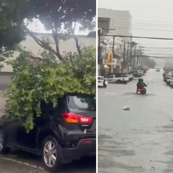 Chuva intensa cerca de 30 minutos alagou ruas, invadiu casas e derrubou galhos de árvore no centro da cidade