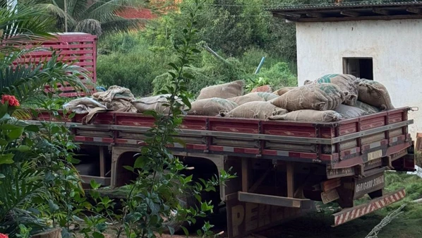 O furto aconteceu em outubro do ano passado em uma fazenda; a polícia conseguiu recuperar 40 das 50 sacarias levadas e também prendeu o suspeito