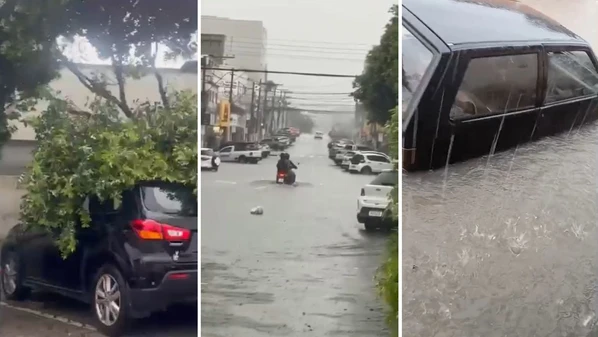 Chuva intensa cerca de 30 minutos alagou ruas, invadiu casas e derrubou galhos de árvore no centro da cidade