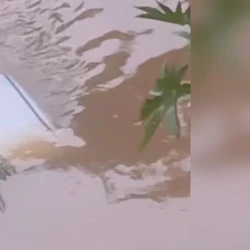 Condutor conseguiu sair sozinho do veículo e foi socorrido pelo Serviço de Atendimento Móvel de Urgência (Samu); fato ocorreu na tarde de quinta-feira (19)