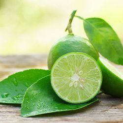 Além do sabor refrescante, ele possui propriedades nutricionais que favorecem o bom funcionamento do organismo