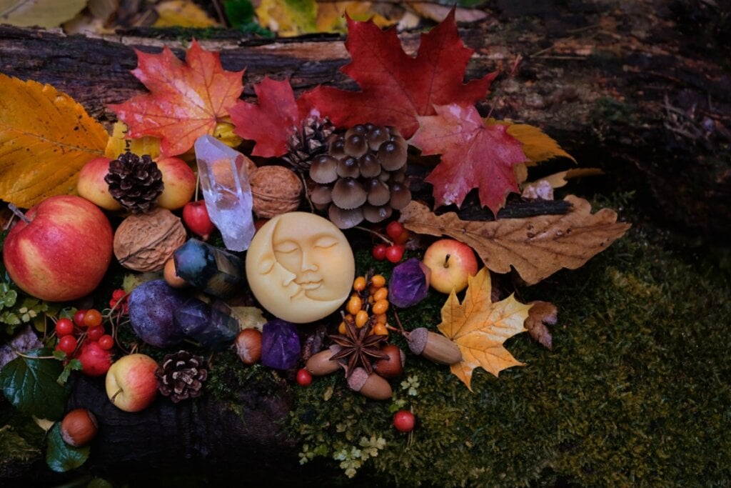 Ao celebrarmos o outono, honramos a dança contínua entre abundância e entrega, crescimento e recolhimento, luz e sombra (Imagem: ju_see | Shutterstock)