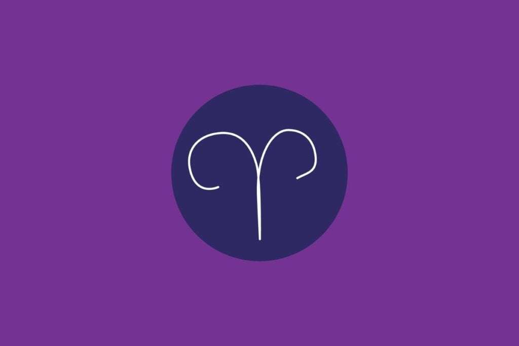 Será um dia importante para o ariano estabelecer limites claros e organizar as prioridades (Imagem: Vikkymir Shop | Shutterstock)