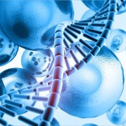 Técnicas modernas potencializam os resultados dos tratamentos ortopédicos e otimizam a qualidade de vida
