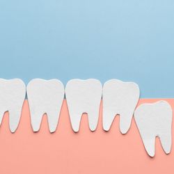 A falta do terceiro molar tem relação direta com a evolução dos hábitos humanos ao longo do tempo