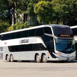 Águia Branca incorporou novos veículos à frota e promoveu as cores e padrões utilizados nas décadas de 80 e 90 para celebrar as oito décadas da viação; confira os detalhes