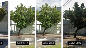 A Gazeta - 7p5gd8deg