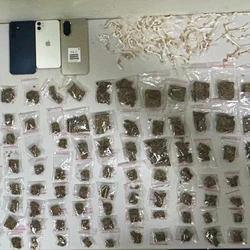 Grupo foi flagrado embalando entorpecentes em imóvel no bairro Aroeira após abordagem na rua, na terça-feira (24)