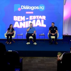 Programa estadual financia castrações, vacinação e ações contra abandono, além de ampliar estrutura de atendimento no ES