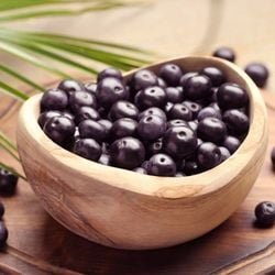 Estudo realizado com animais identificou que os compostos bioativos presentes na fruta amazônica exerceram efeito neuroprotetor