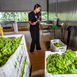 A nova unidade, em parceria com o Banco Ceasa-ES de Alimentos, fica em Cariacica e vai ampliar em cerca de 20% a capacidade de arrecadação e distribuição de alimentos do programa no Estado; saiba quem pode doar