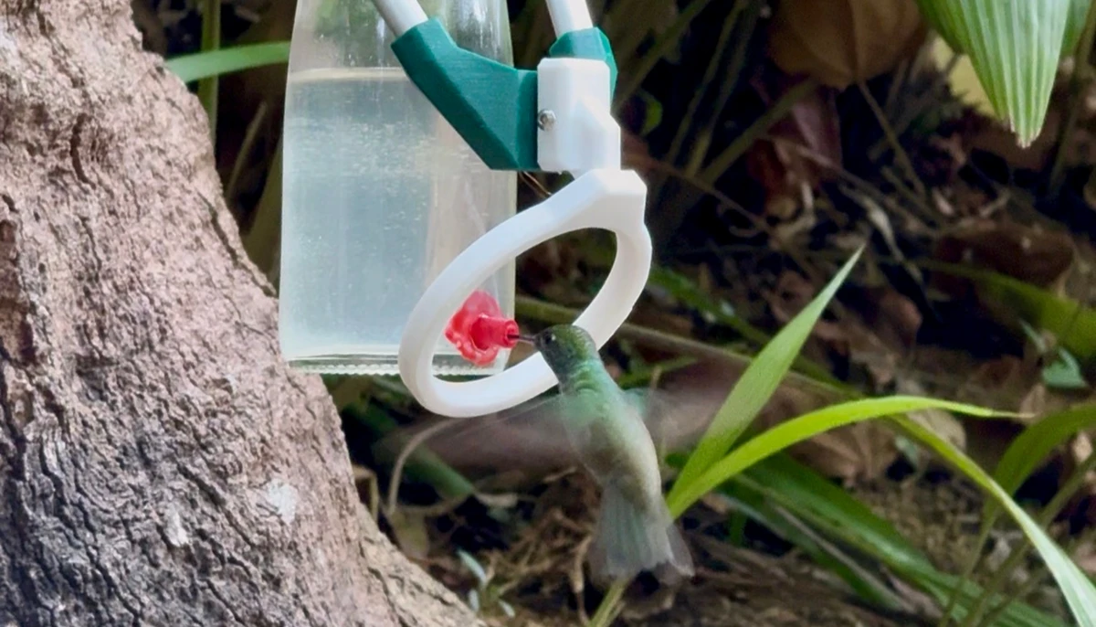 Museu de Biologia Professor Mello Leitão