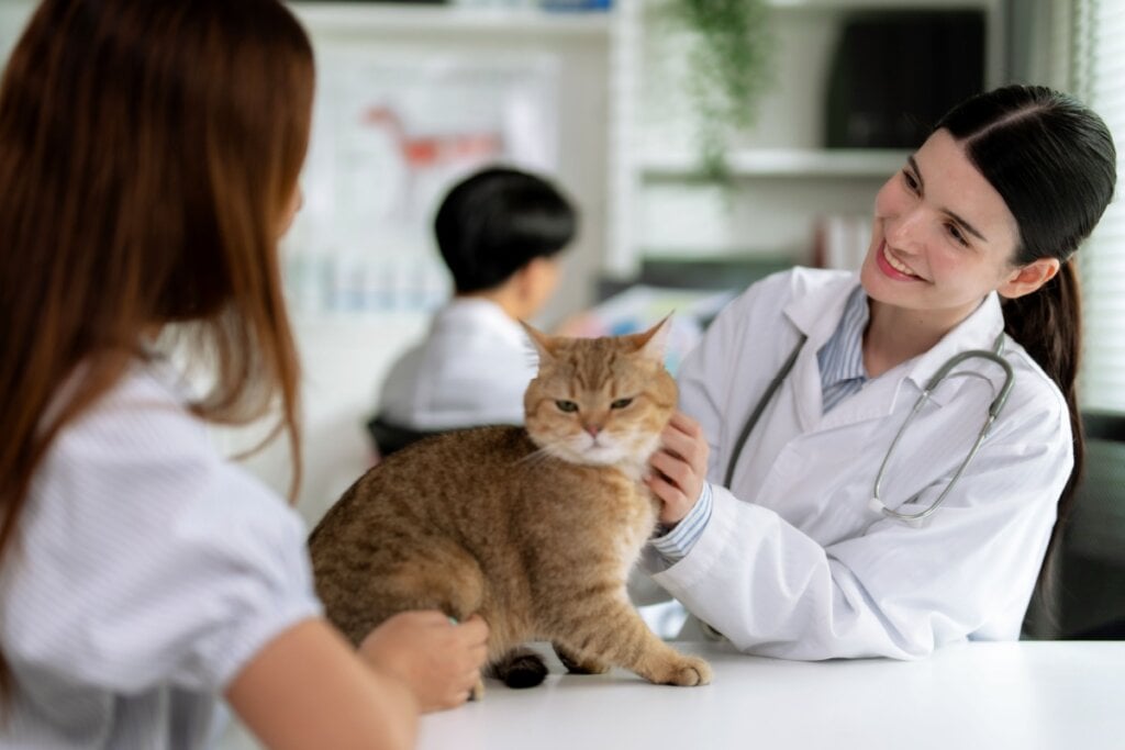 Respeitar o calendário de vermifugação é fundamental para evitar os parasitas (Imagem: Basicdog | Shutterstock)