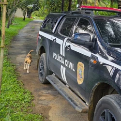 Ações conjuntas da EDP e da Polícia Civil ocorreram nas cidades de Cariacica e Serra, na Grande Vitória