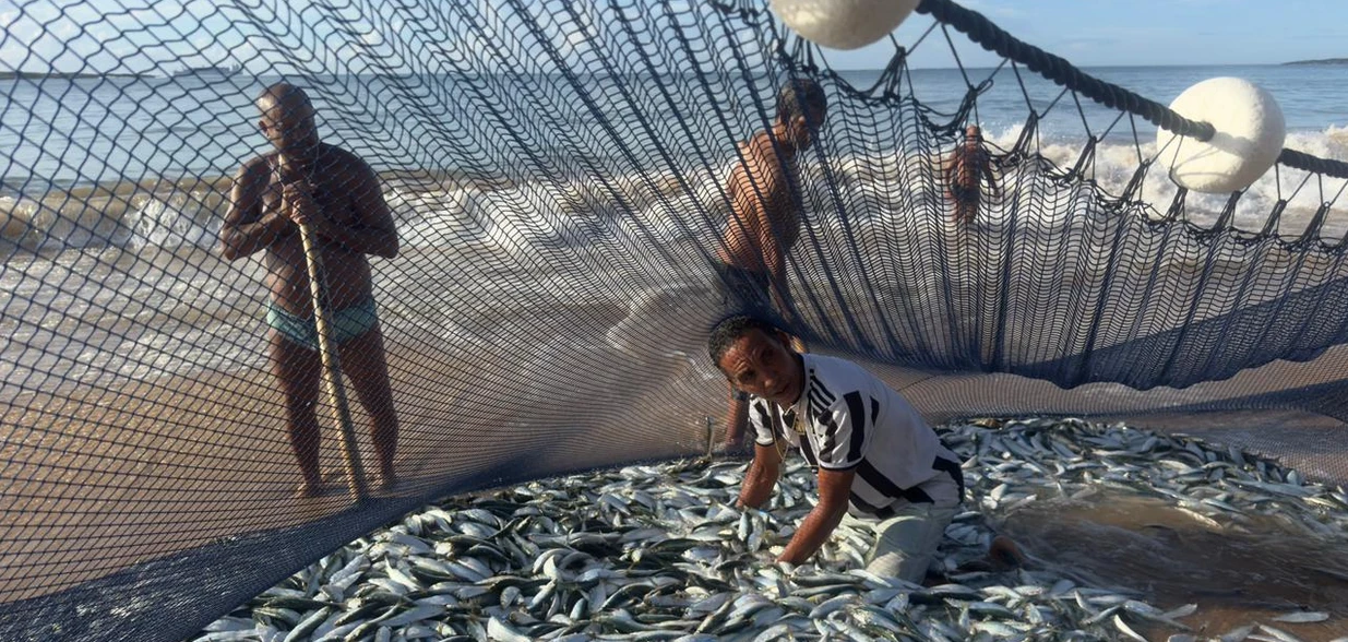 Cardume se aproximou da orla e fez a festa dos pescadores da comunidade de Itapoã, que comemoraram a fartura da espécie em um período de amplo consumo de peixes devido à quaresma