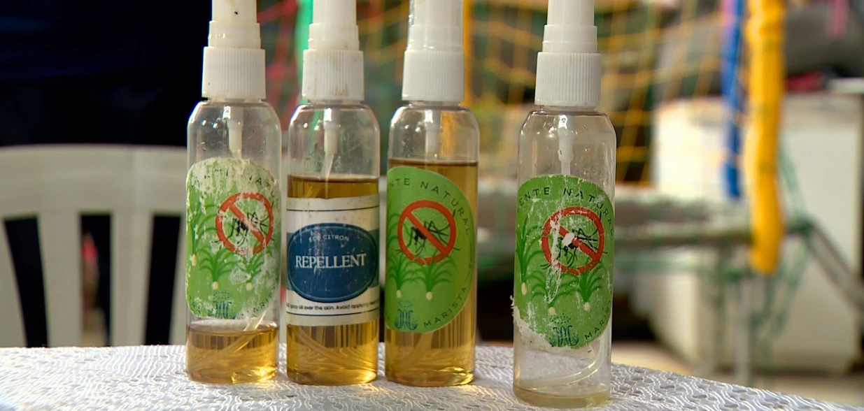 Iniciativa escolar une ciência e responsabilidade social ao produzir repelente ecológico com matéria-prima cultivada pelos próprios estudantes e produtos naturais e recicláveis