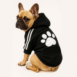 Roupa Pet Moletom Com Capuz com Várias Cores